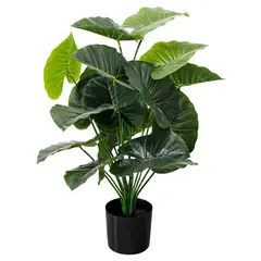 TATEE - Plantas artificiales Goteando Guanyin Decoraciones