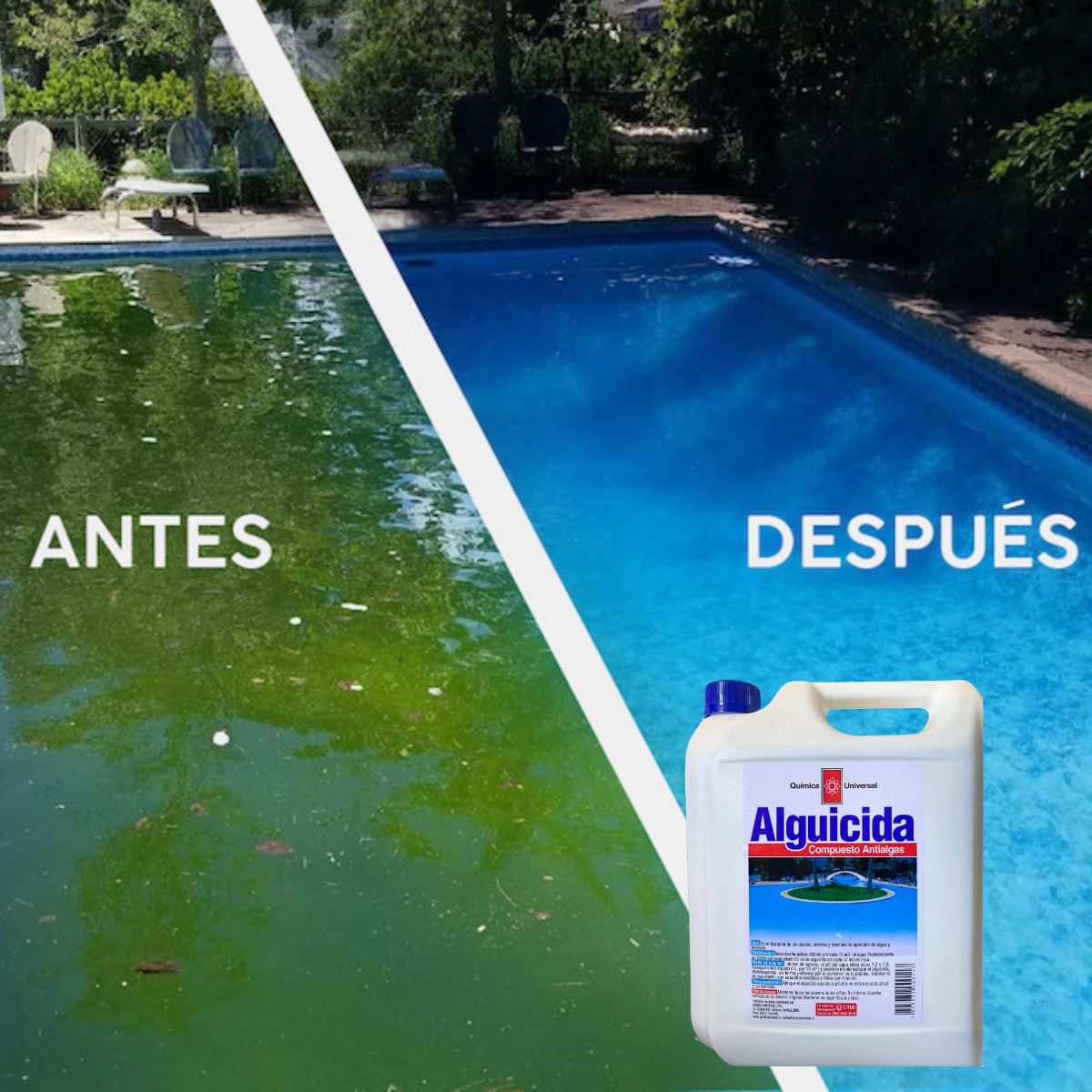 QUIMICA UNIVERSAL - Alguicida Para Piscinas 1 Litro Química Universal