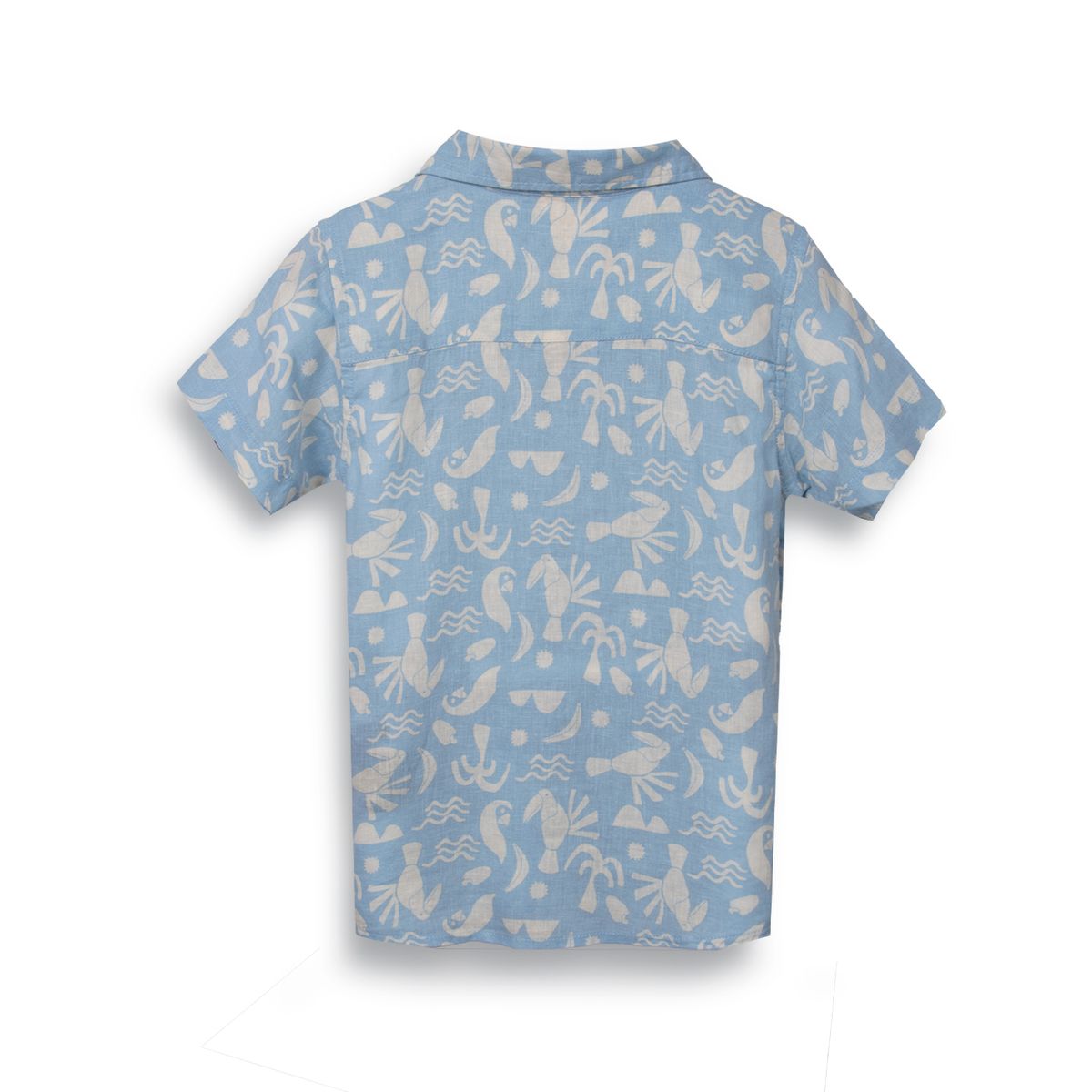 PILLIN - Camisa Niño Celeste Pillin PVC813-25CEL