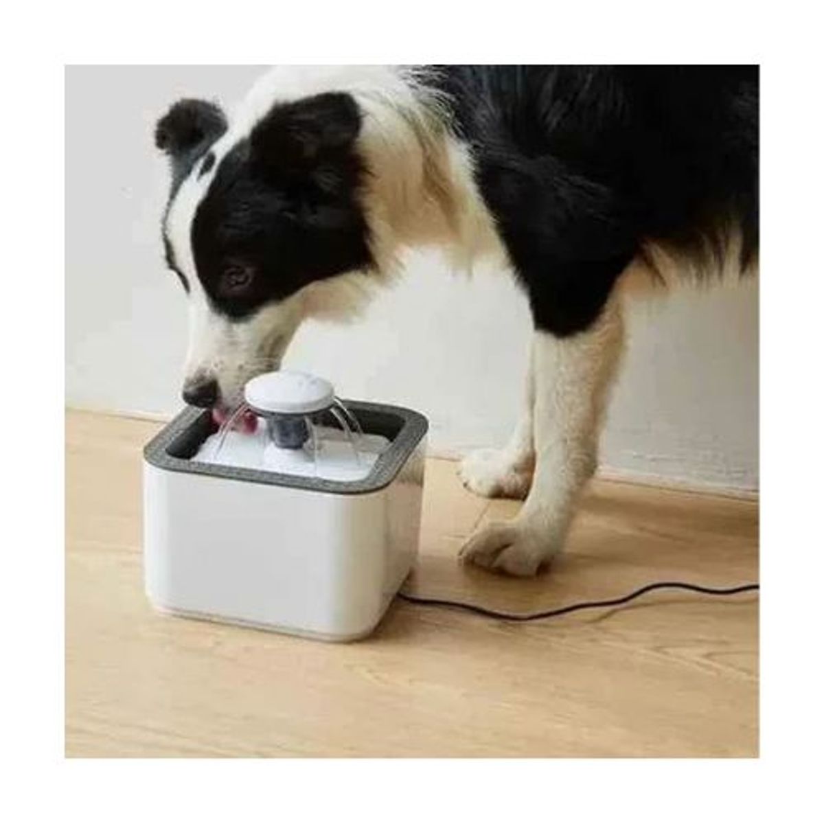 GENERICO - Fuente De Agua Bebedero Para Mascotas Perros Y Gatos