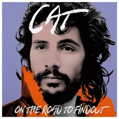 HITWAY MUSIC - CAT STEVENS - ON THE ROAD TO FINDOUT GREATEST HITS 2LP