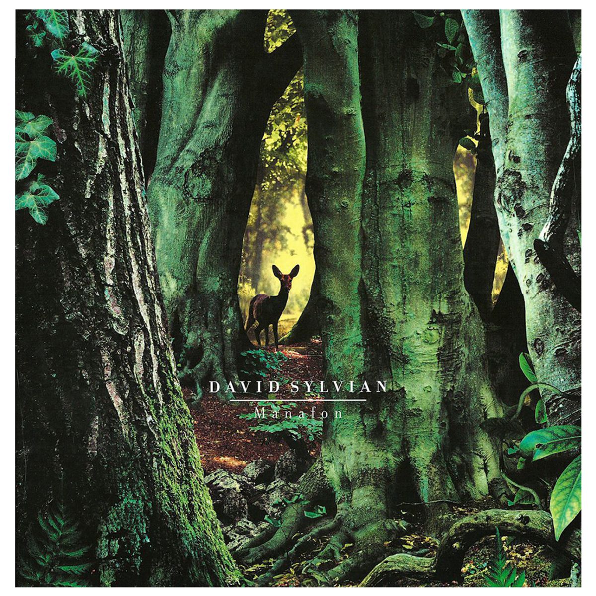 GENERICO - David Sylvian - Manafon - Vinilo Doble