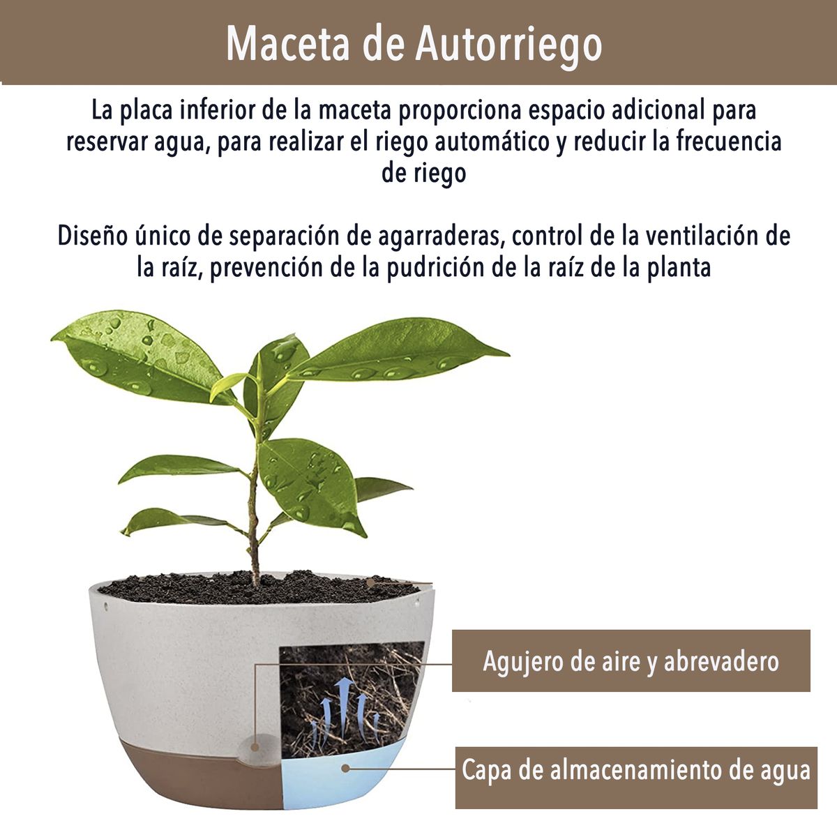 GENERICO - Kit 2 Macetero Colgante con Bandeja Extraíble y Drenaje M Menta
