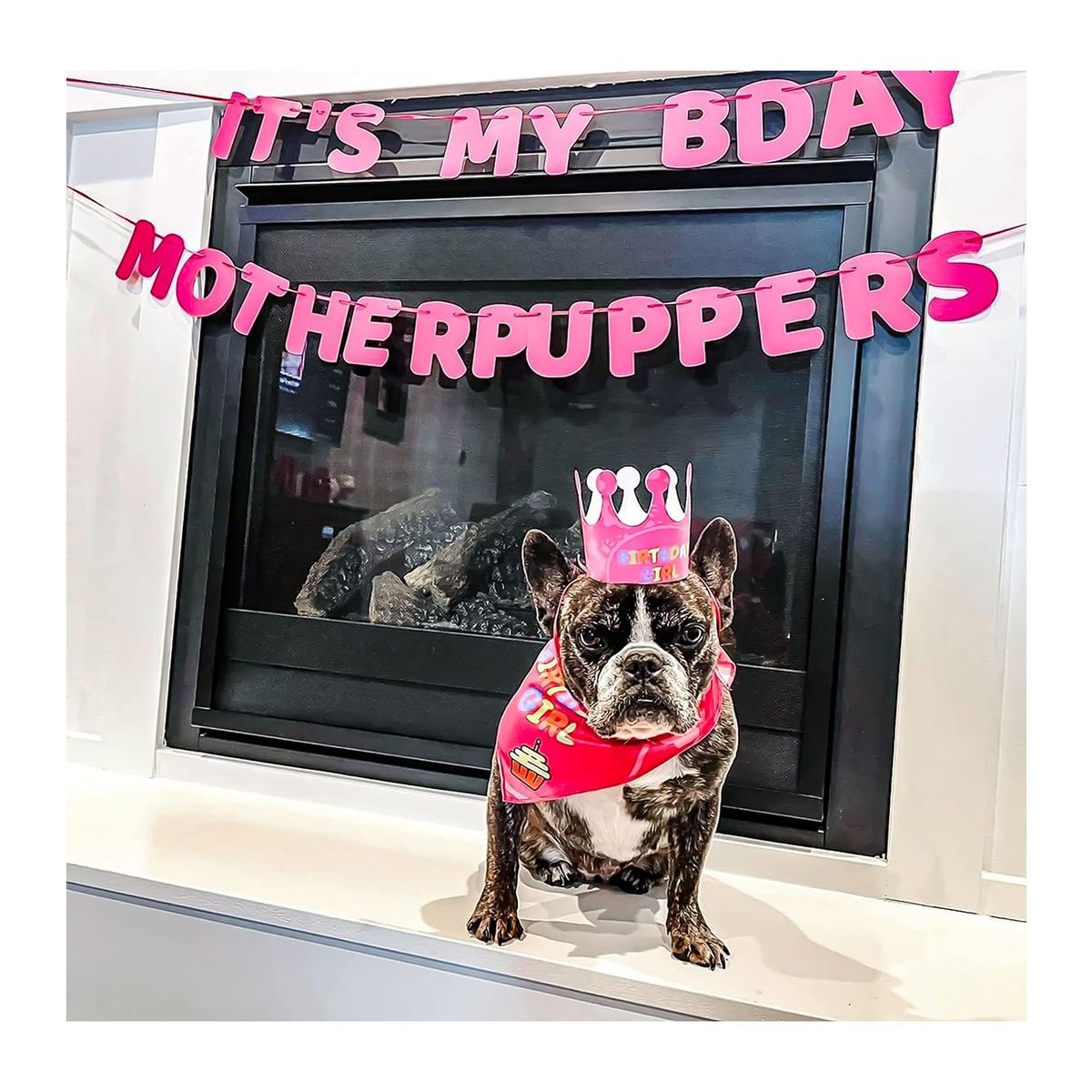 WELDMON - Productos para fiestas de cumplea?os de perros Rosa L