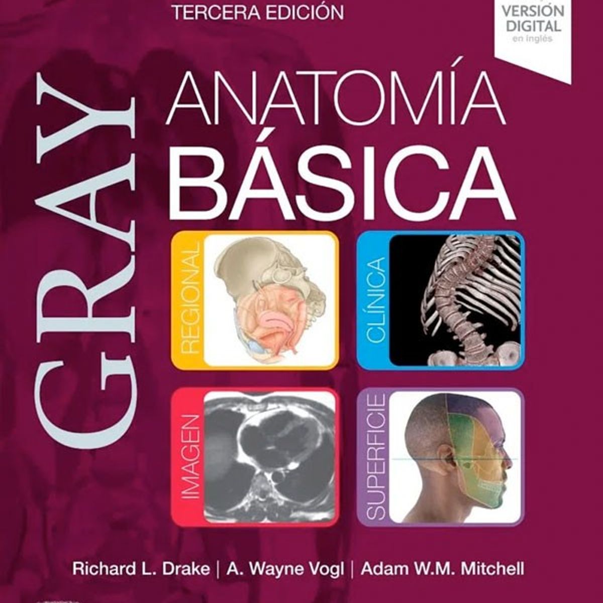ELSEVIER - Gray. Anatomía básica 3ed.