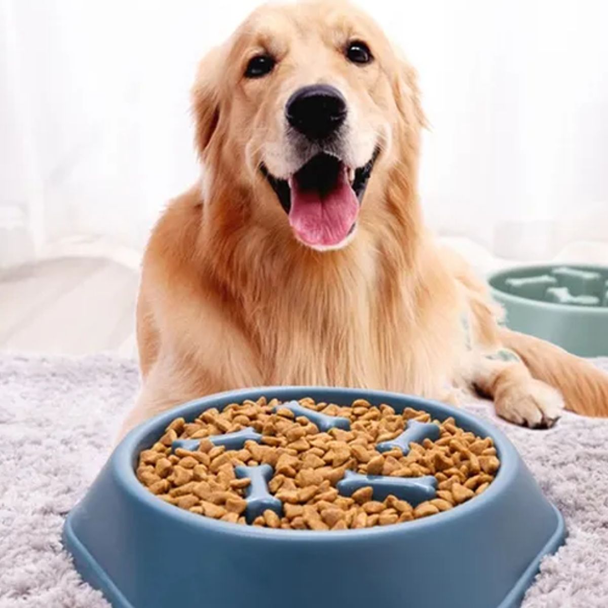 GENERICO - Plato Per-Ros antiestrés mascotas perros color verde