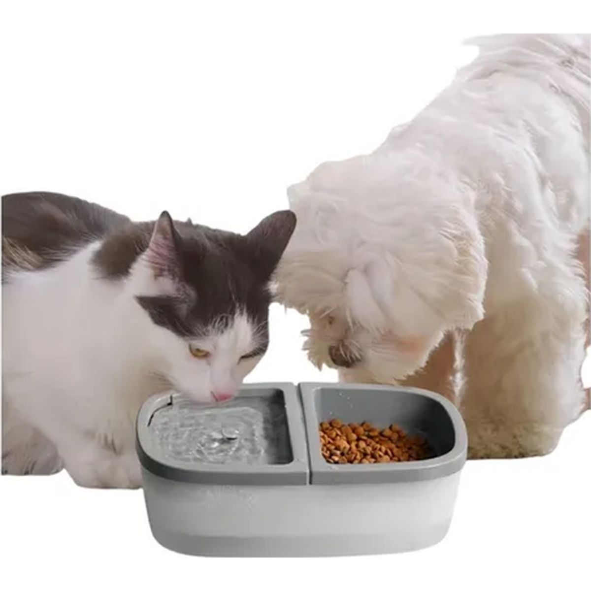 GENERICO - Plato doble bebederocomida mascotas