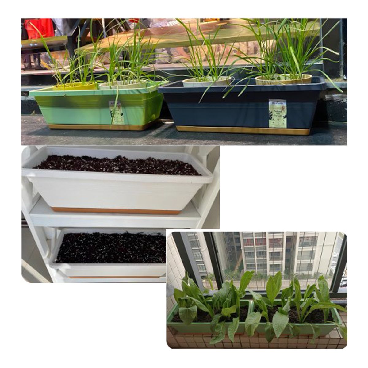 GENERICO - Kit 4 Jardineras con Bandeja Extraíble y Drenaje Reflexivo Blanco