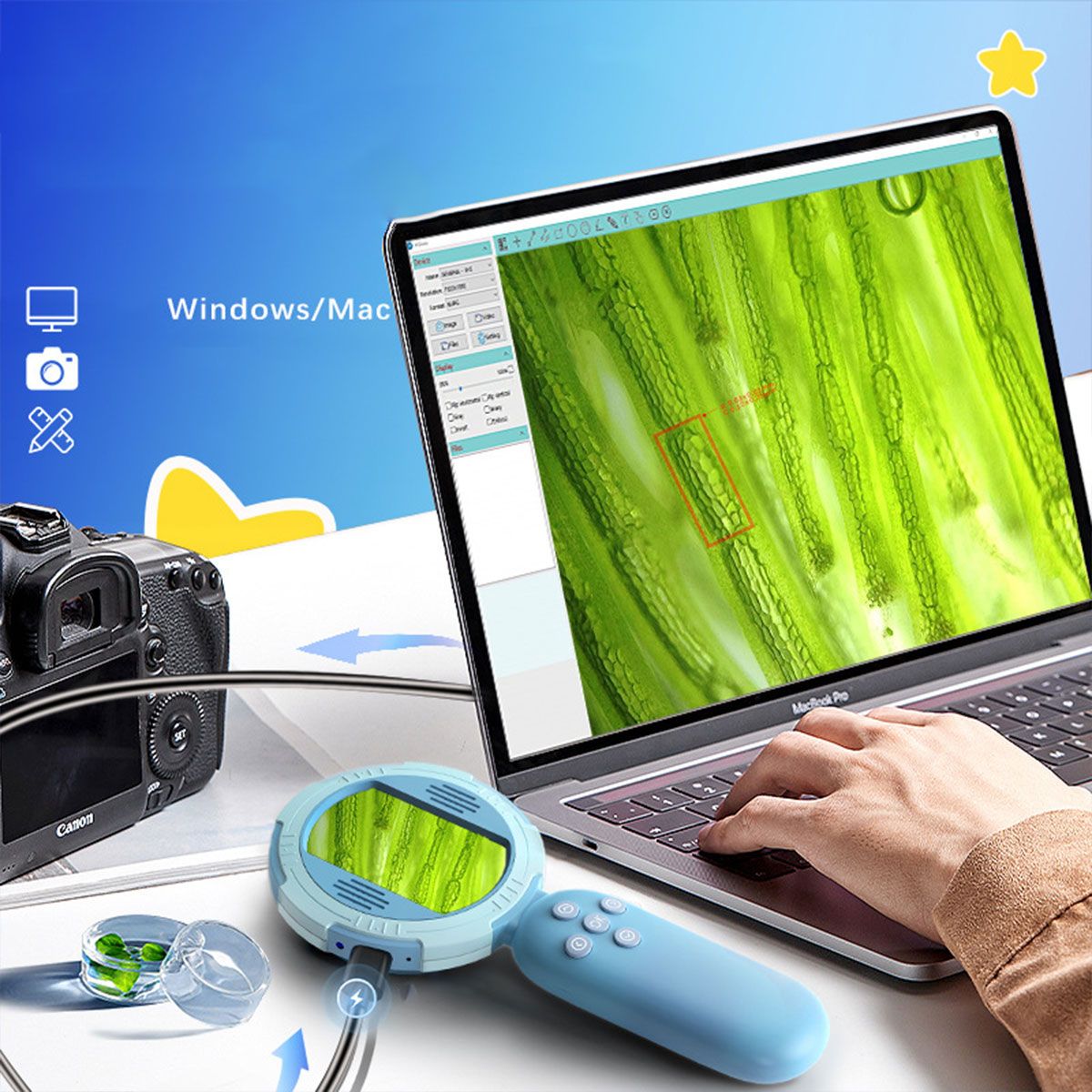 PUREPOWER - Lupa electrónica portátil con pantalla de 2 millones de píxeles HD-AZUL