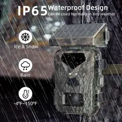 PUREPOWER - Cámara de Senderos con Energía Solar con Visión Nocturna