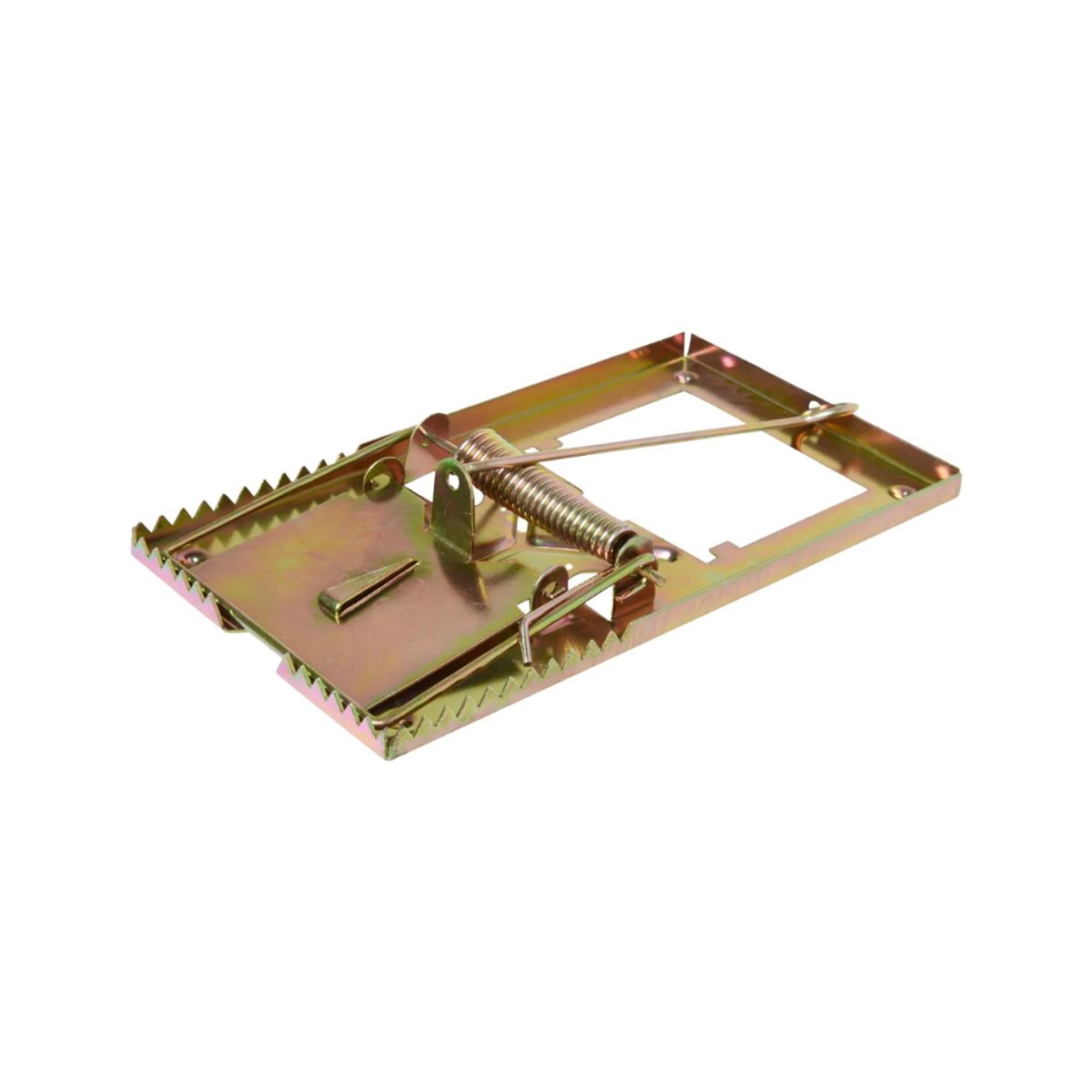 GENERICO - TRAMPA DE RESORTE METÁLICA RATON