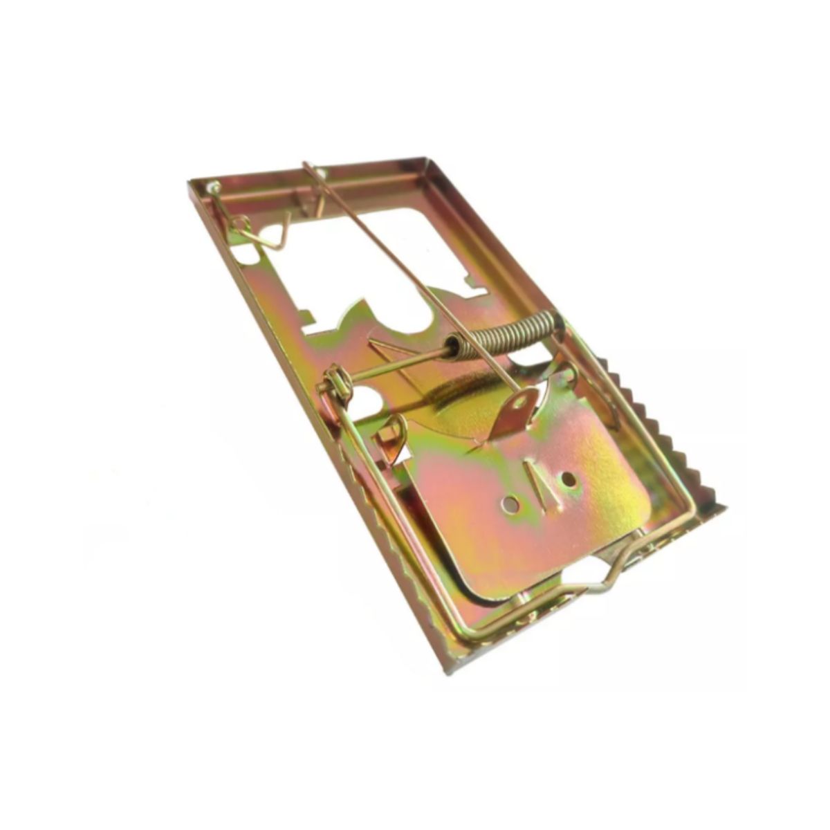 GENERICO - TRAMPA DE RESORTE METÁLICA RATON