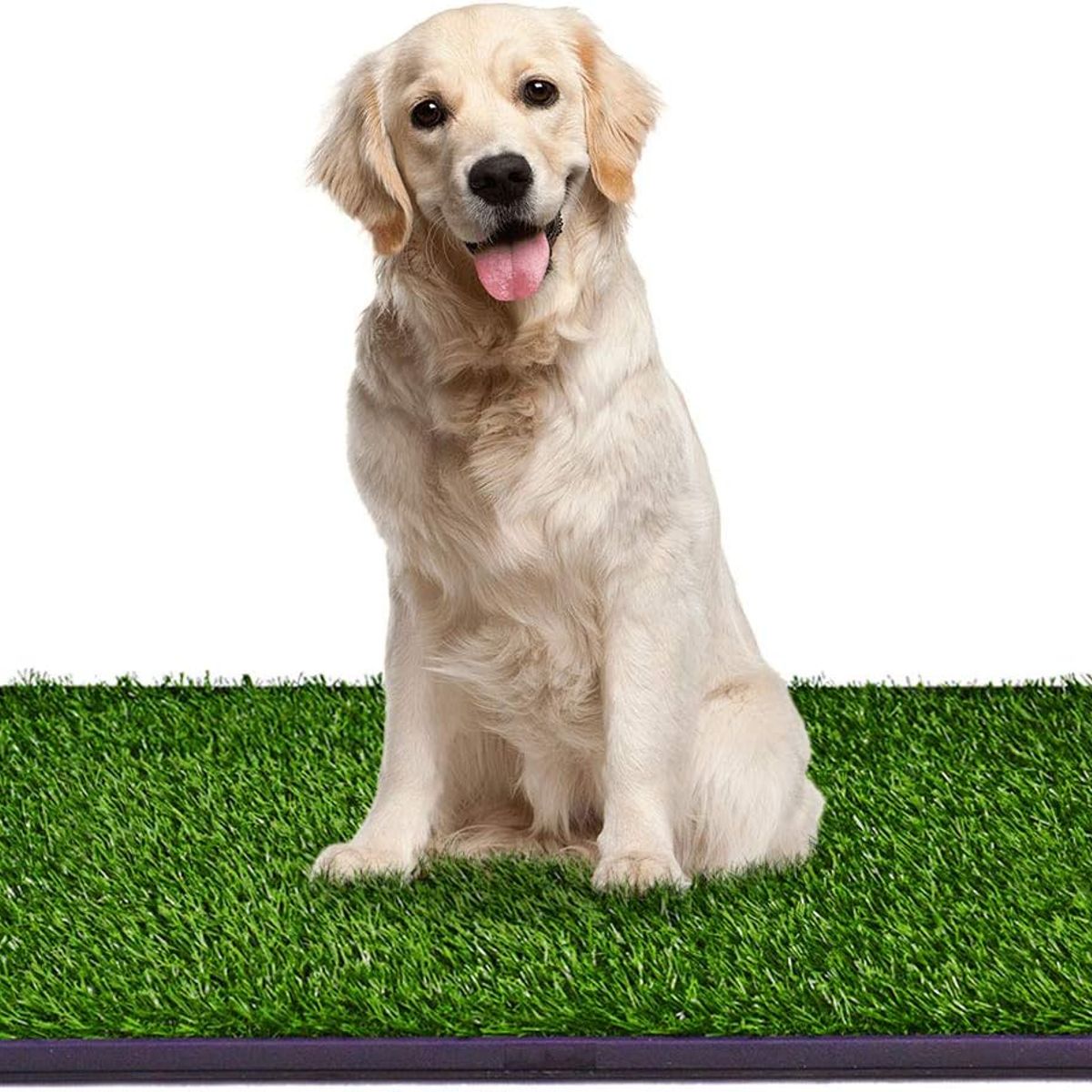 MOVI - BAÑO PORTÁTIL PARA PERROS XXL  CÉSPED SINTÉTICO