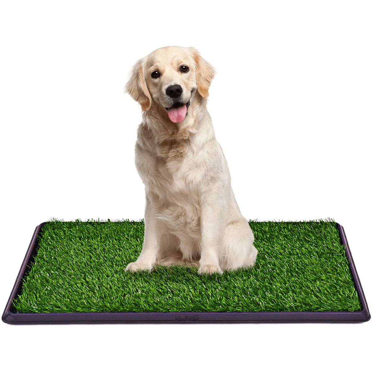 MOVI - BAÑO PORTÁTIL PARA PERROS XXL  CÉSPED SINTÉTICO