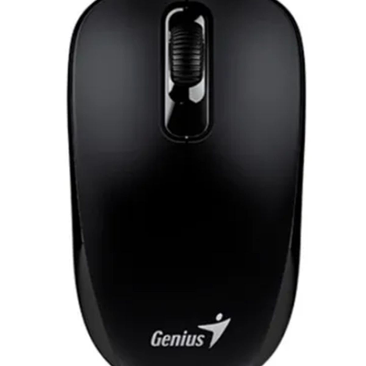 GENERICO - Mouse Genius Dx-110 ps2 óptico negro