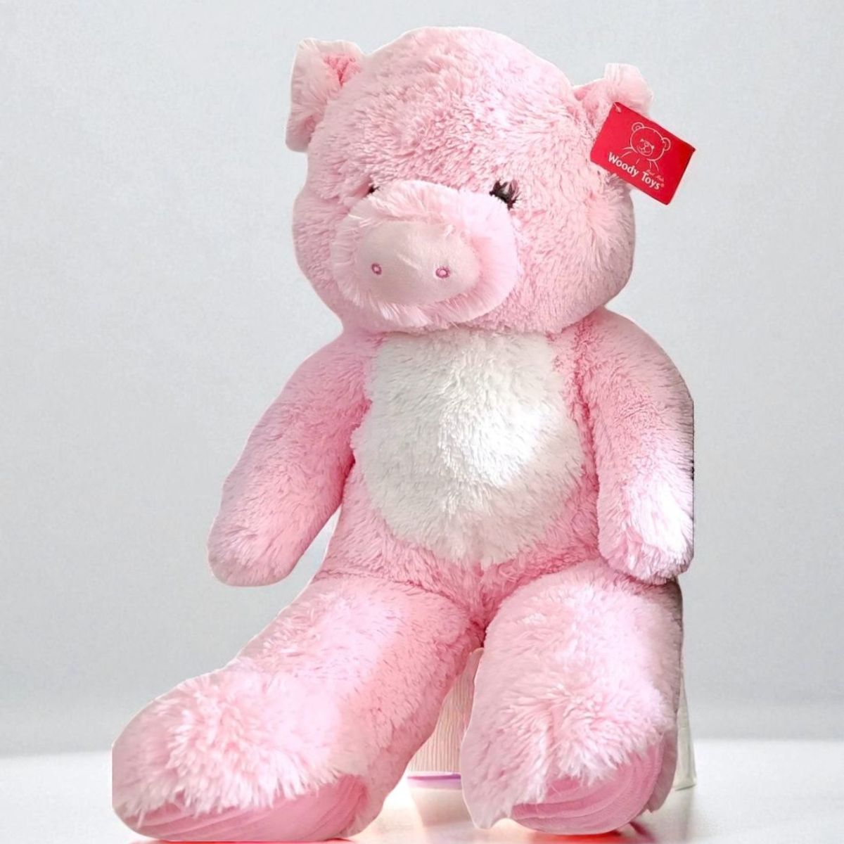 GENERICO - Peluche Chancho Cerdito Grande 80 CM
