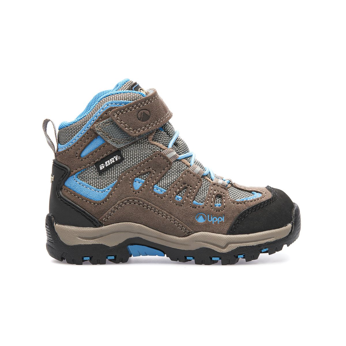 LIPPI - Botín Hombre Puelo Cs Hi Velcro Cafe / Azul Lippi