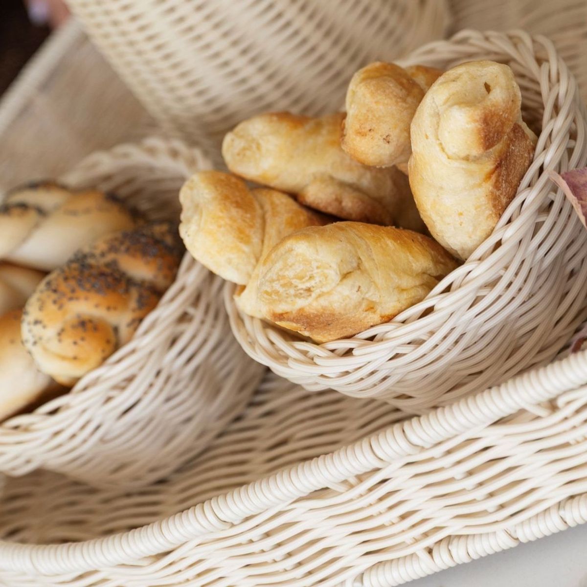 TEMPODECO - Panera Petit Milk