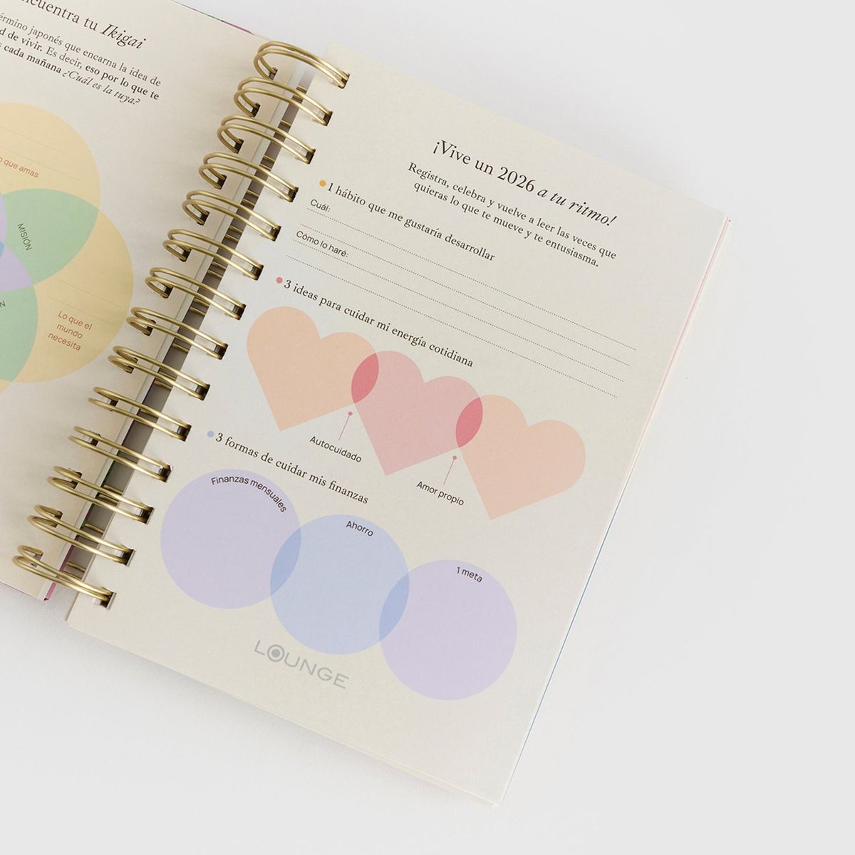 LOUNGE - Agenda Mediana 2026 Rosado