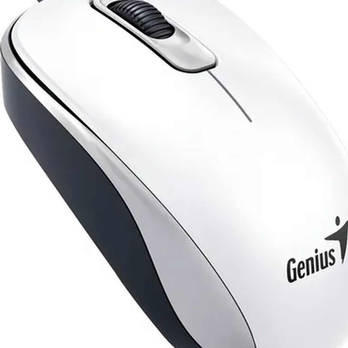GENERICO - Mouse Genius DX-110 usb blanco elegante