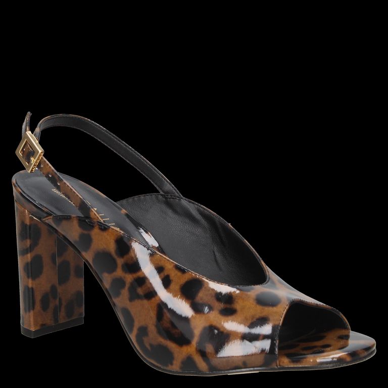 Zapato Mujer Casual Marrón