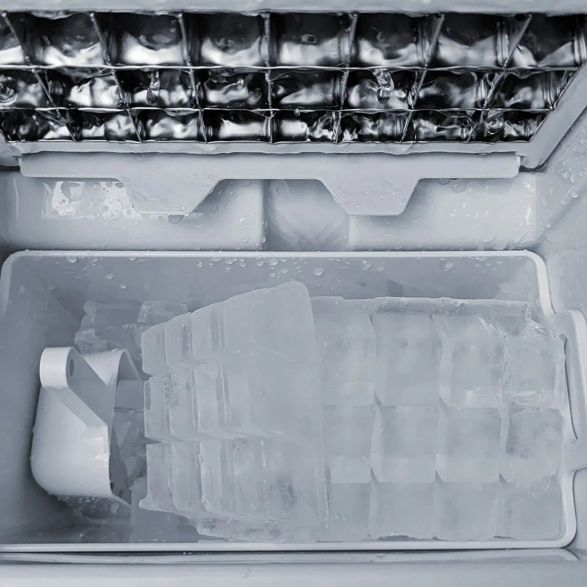 GUTEN BREW - Máquina de Hielo cubo - 20 kgs por día - Rápida y automática - Guten Ice 2.0