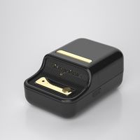 ETIQUETADORA TERMICA NIIMBOT B21S NEGRA