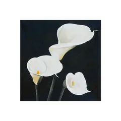 RONDA - Oleo DOPNM60433 70X70 CM