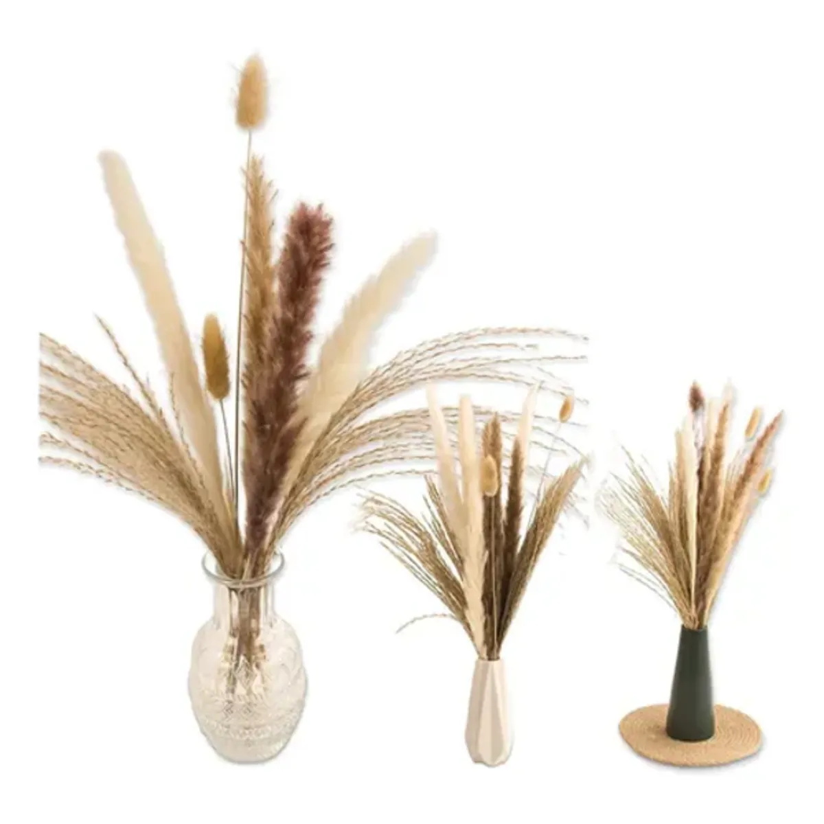 GENERICO - Pampas secas 65 uds plantas decorativas
