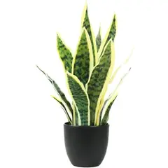 GENERICO - Planta artificial sansevieria lengua de suegra
