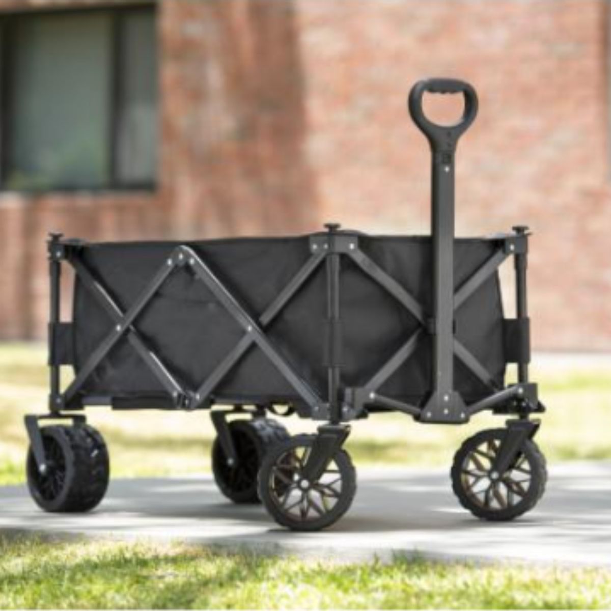 GENERICO - Carrito Plegable para compras y camping de carga 160 kg