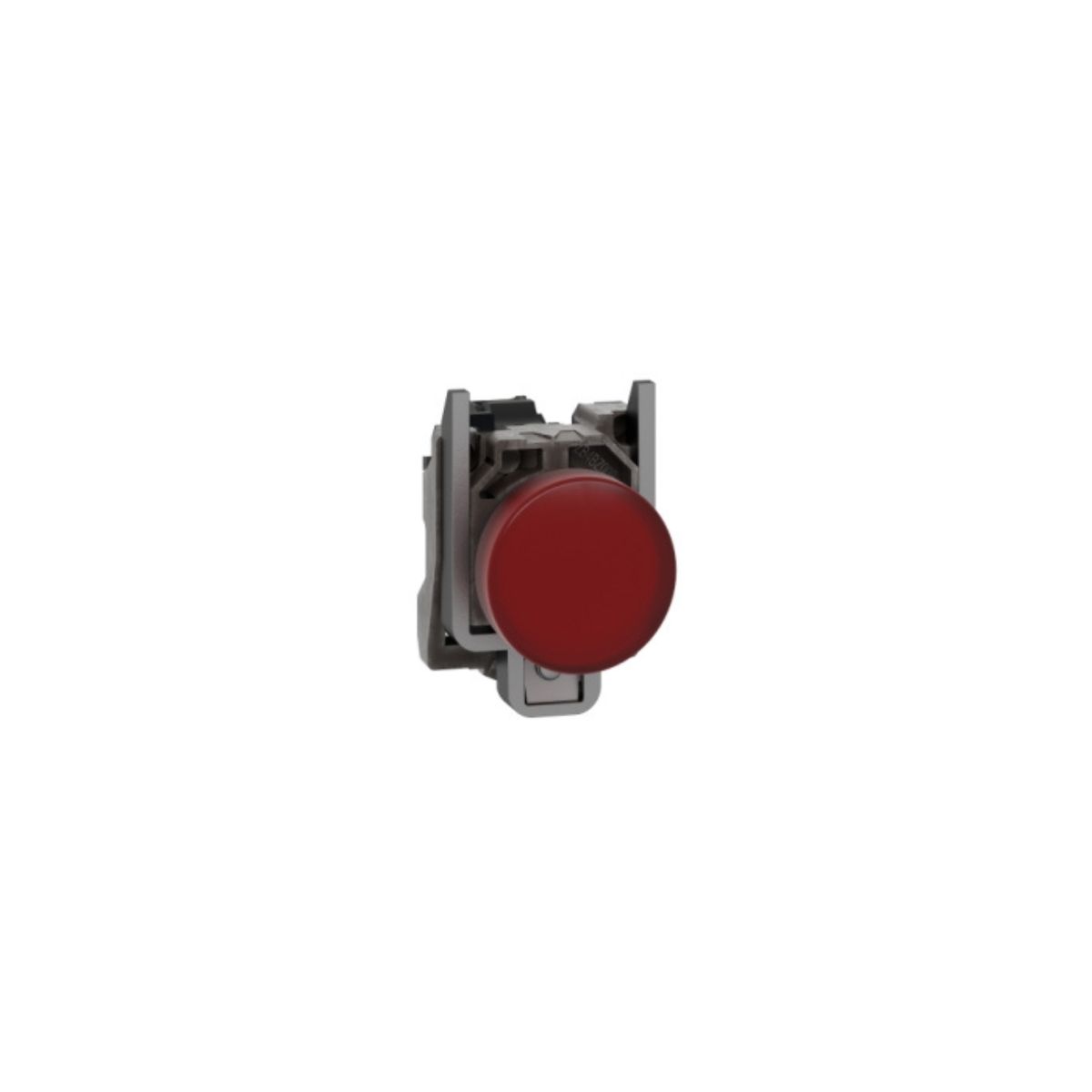 SCHNEIDER ELECTRIC - Luz piloto 22 mm metálico Led rojo 24V AC/DC