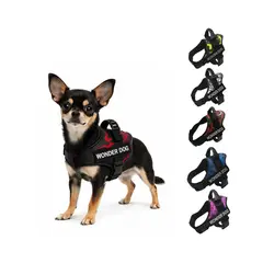 GENERICO - Arnés Antitirones Pechera Perro Pequeño Talla XS - Azul - XS