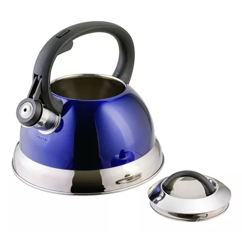 GENERICO - Tetera silvante de 32 l de acero inoxidable colores con mango
