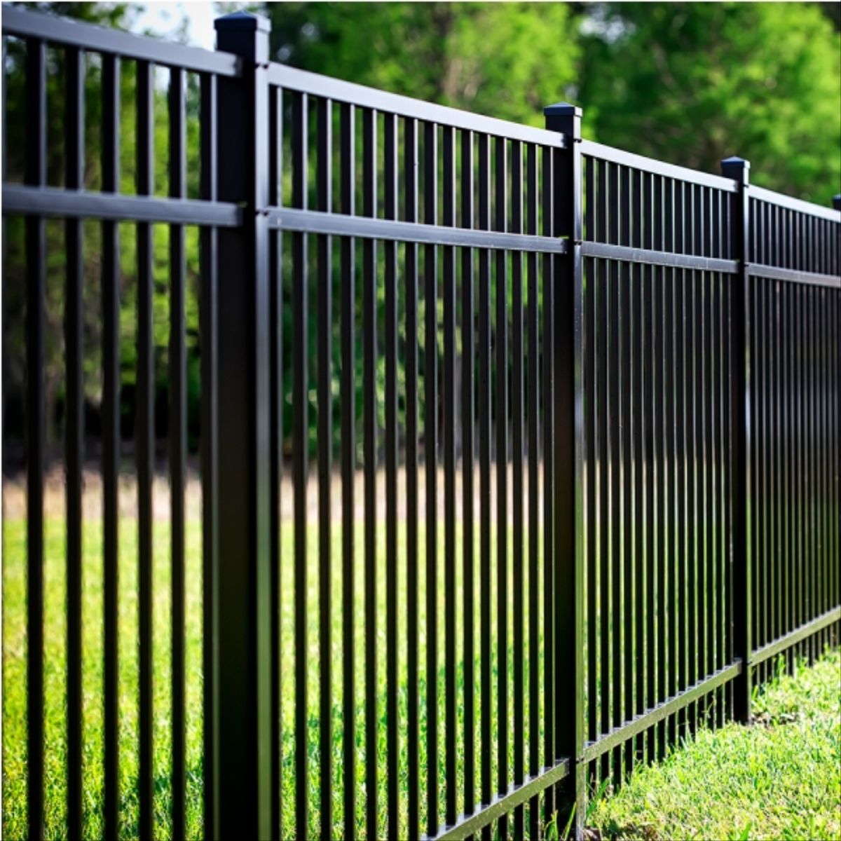 TRICOLOR - Esm sint linea profesionalsherwin negro gl