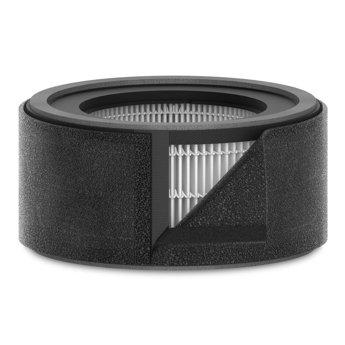 TRUSENS - Repuesto Filtro HEPA + Carbón TruSens Z1000