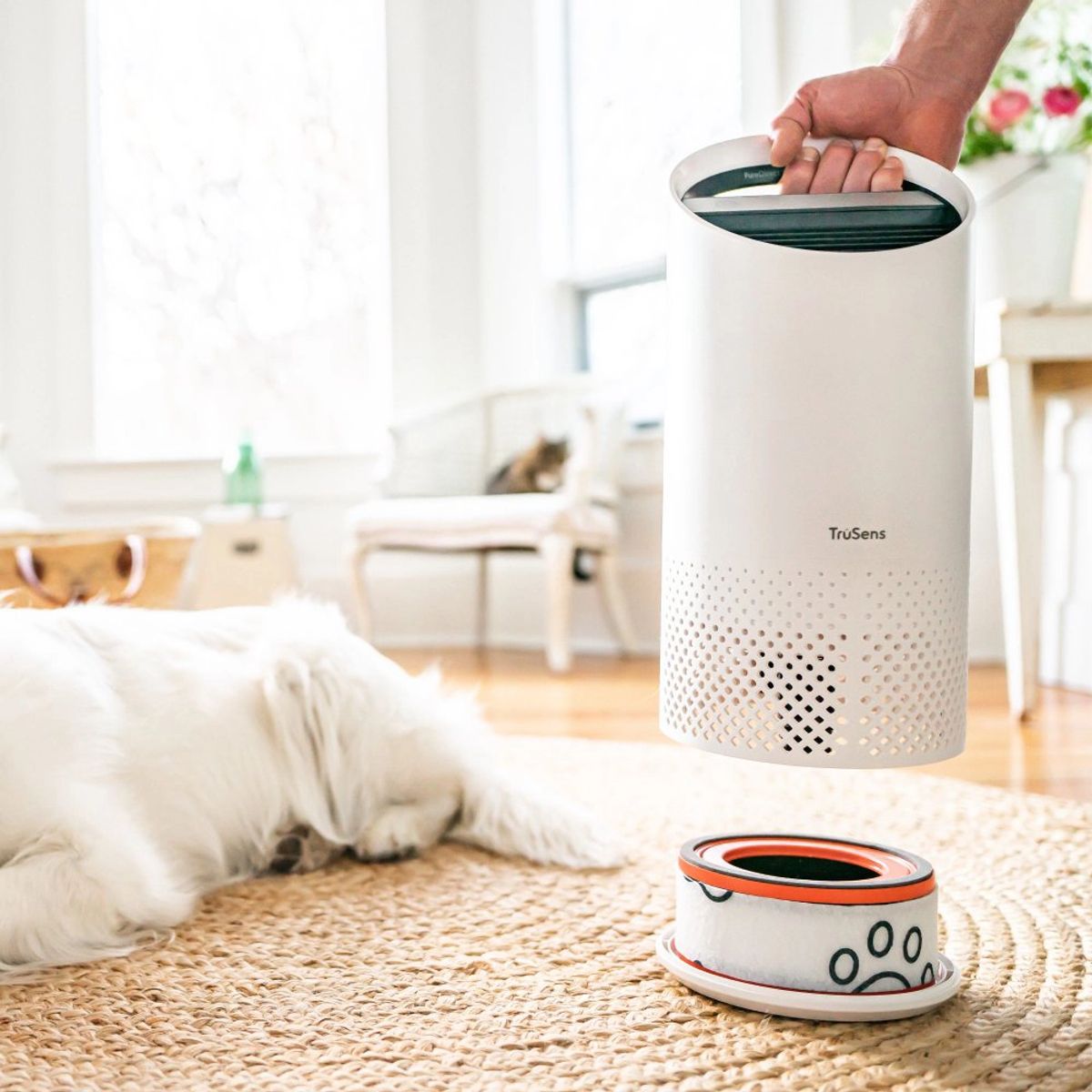 TRUSENS - Repuesto Filtro HEPA + Carbón Mascotas TruSens Z1000