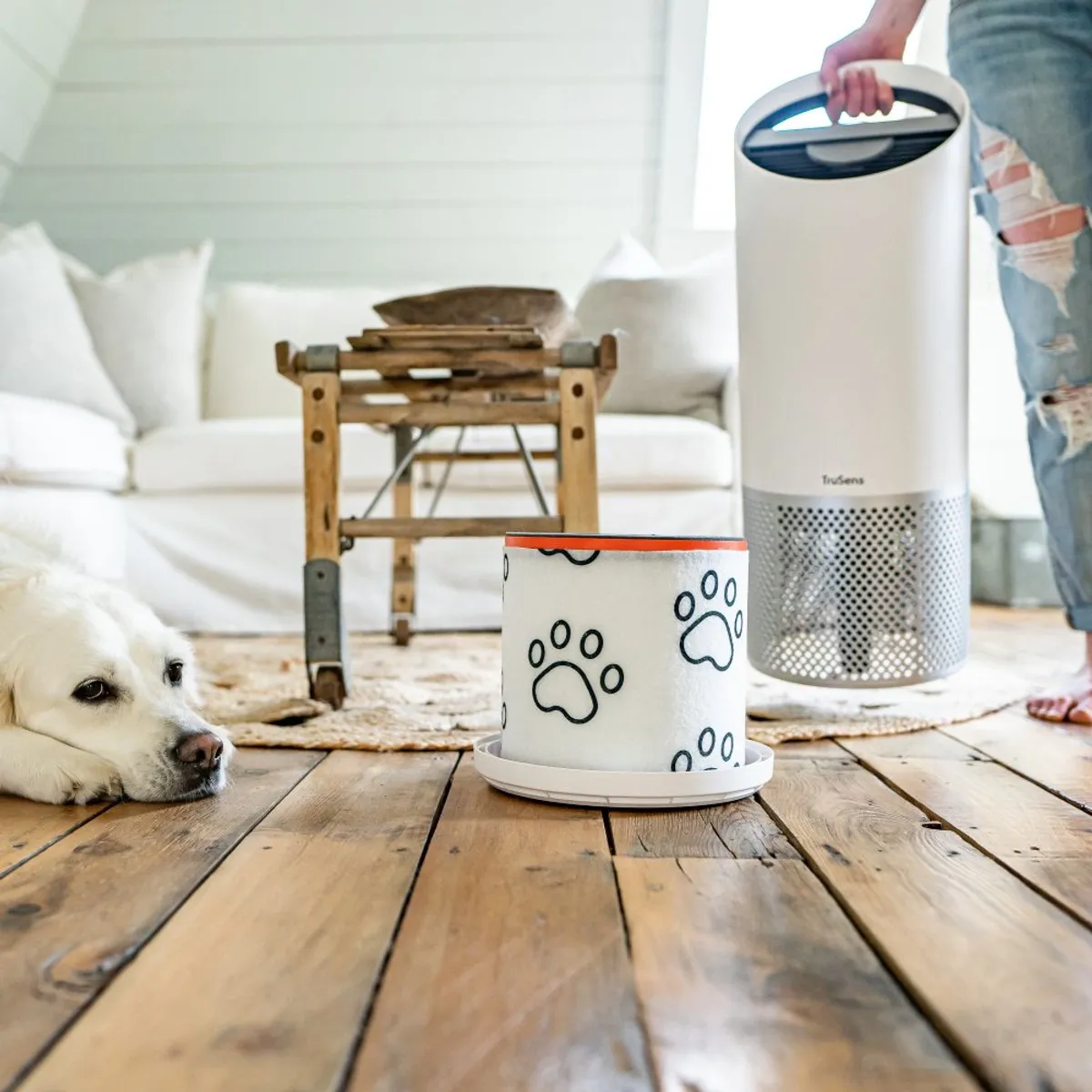 TRUSENS - Repuesto Filtro HEPA + Carbón Mascotas TruSens Z2000