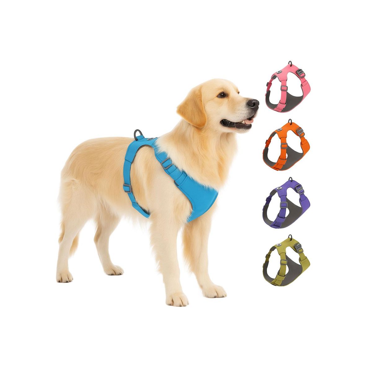 GENERICO - Arnés Antitirones Antiasfixia Para Perro Grande Talla XL - Lila - XL