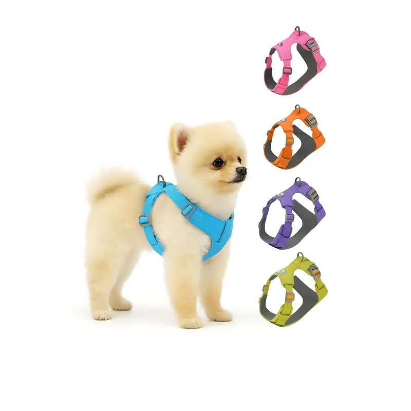 GENERICO - Arnés Antitirones Antiasfixia Para Perro Talla XS - Verde - XS