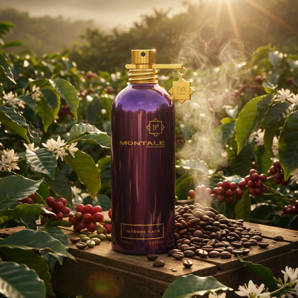 MONTALE PARIS - Montale Intense Cafe 100ml EDP Unisex