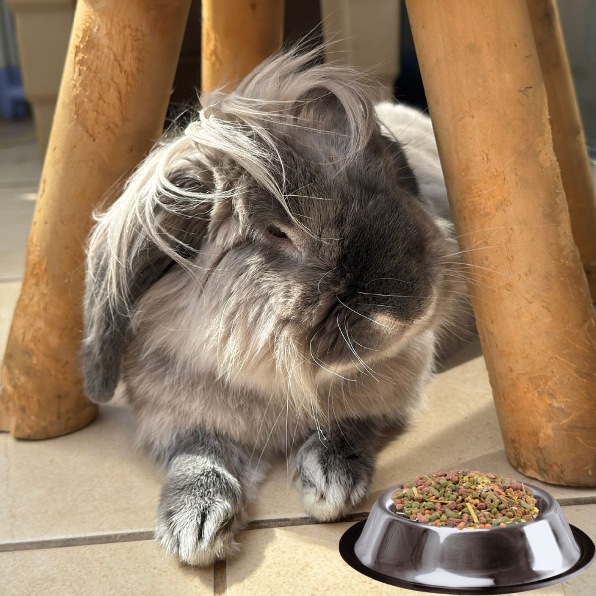 LOOP - Alimento para Conejos Loops premium 1kg