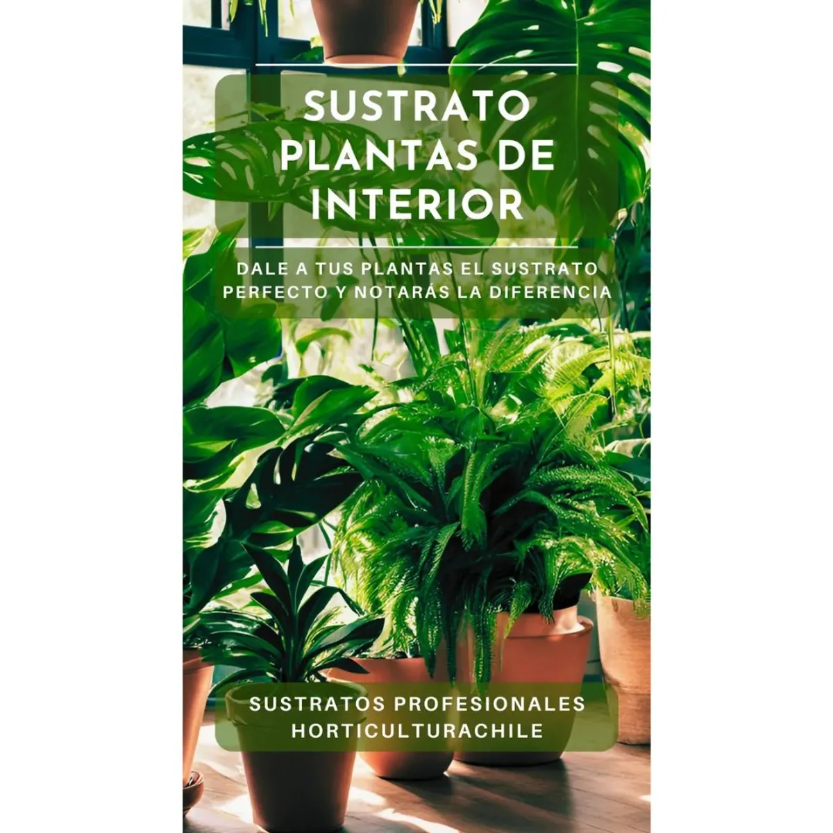HORTICULTURACHILE - Sustrato premium para plantas de interior 10 litros
