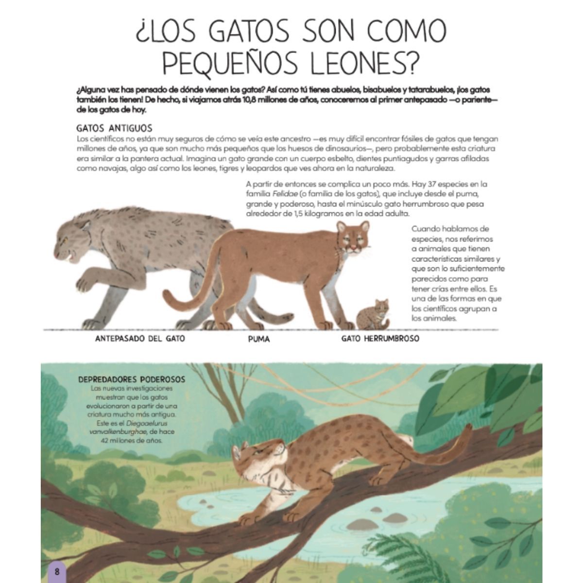 EDITORIAL CONTRAPUNTO - Un mundo de gatos de Editorial Contrapunto