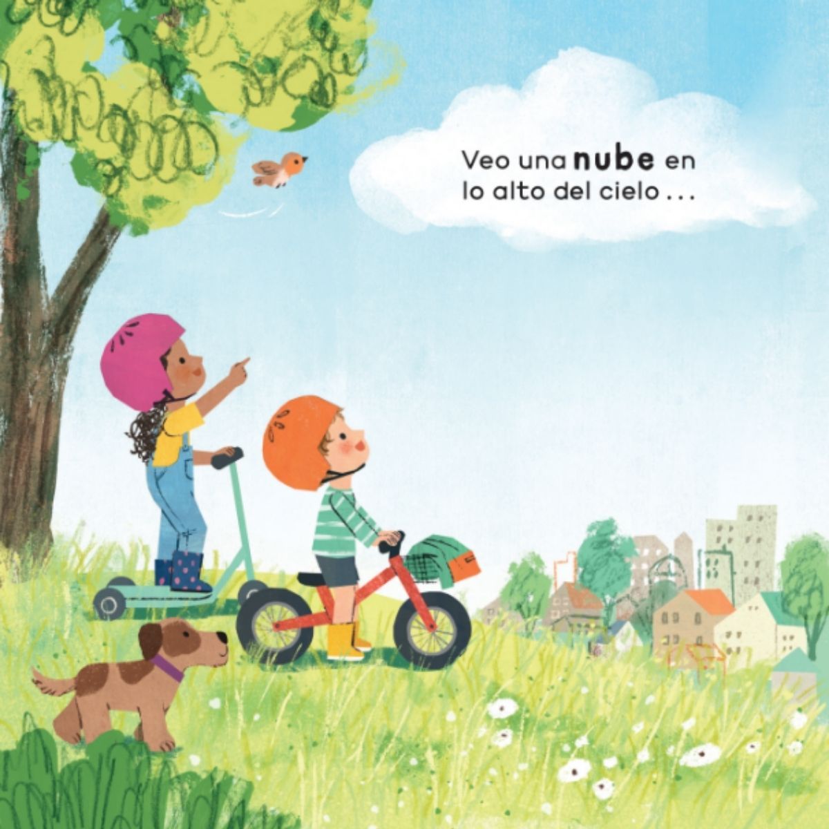 EDITORIAL CONTRAPUNTO - Veo una nube. Ciencia para niños
