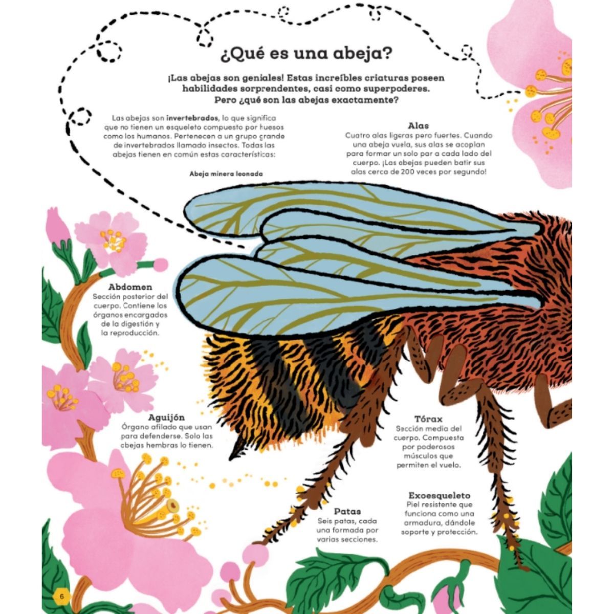 EDITORIAL CONTRAPUNTO - Nuestras amigas las abejas
