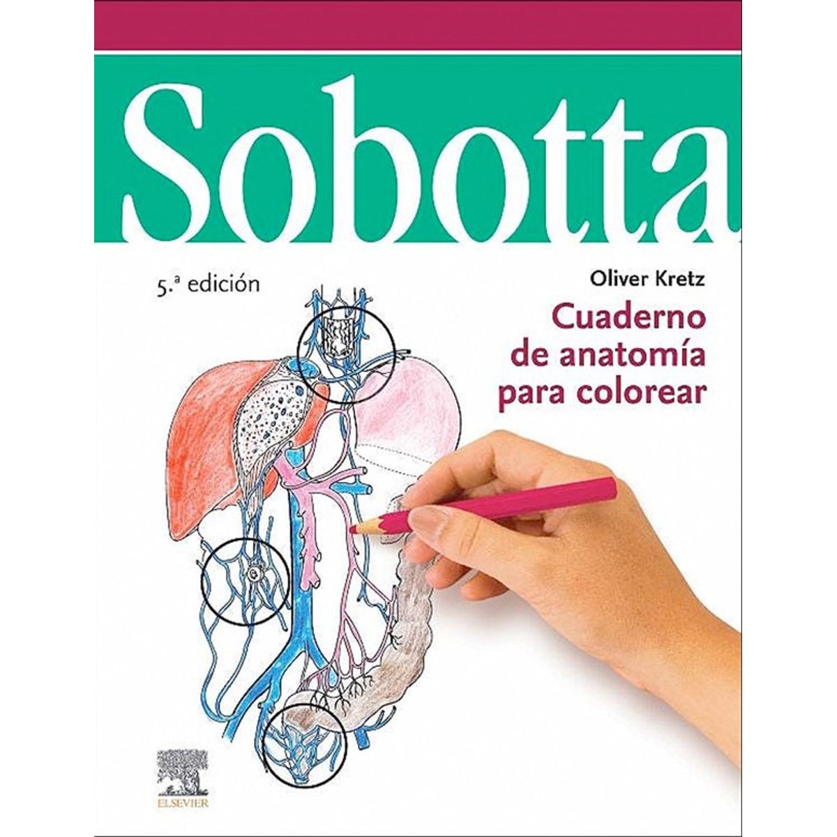ELSEVIER - Sobotta. Cuaderno de anatomía para colorear 5ed.