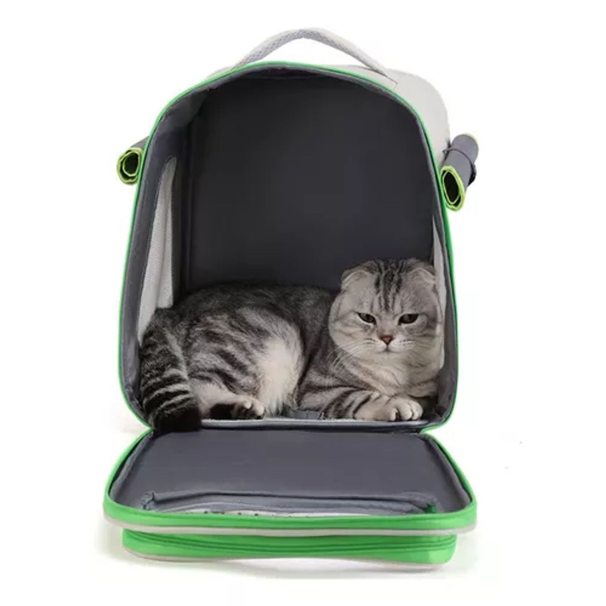 GENERICO - Mochila bolso plegable para mascotas perro y gato verde