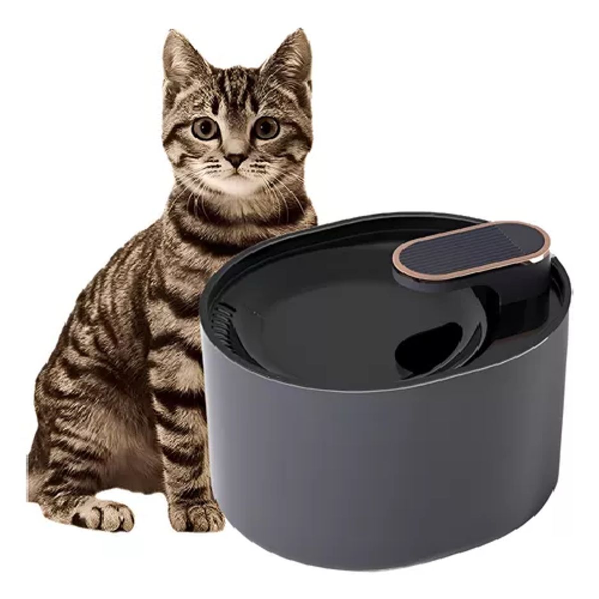 GENERICO - Fuente de agua Roro p/perros pileta de 3 litros color negro