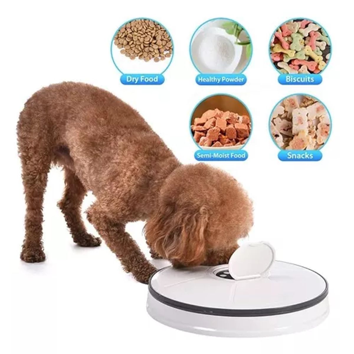 GENERICO - Dispensador automático alimento para perros y gatos blanco